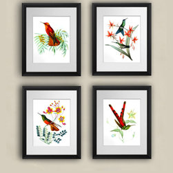 Hummingbird wall decor art prints - Products