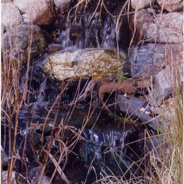 TJB-INC Display Gardens & Ponds - 12 Crestway Hamden