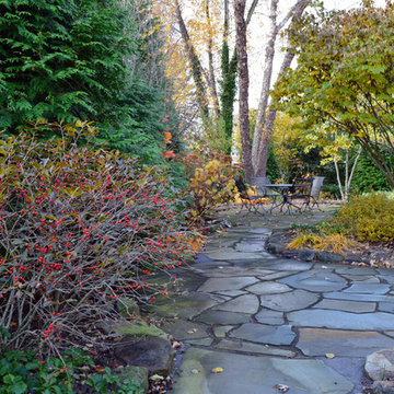 Small Cottage Surrounded by Native Gardens