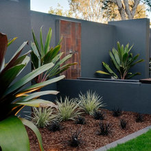 Planter Flowers