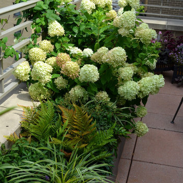 Upper West Side Terrace Garden