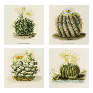 Elegant Prints & Frames