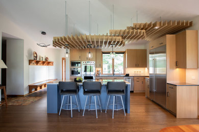Home design - mid-century modern home design idea in Minneapolis