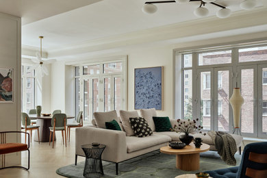 Living room - contemporary living room idea in New York