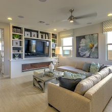 Living room built ins