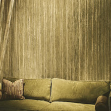 candida_kutsukos's ideas