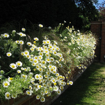 Cheam - Surry - Design in White