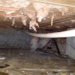 Drain Repair in Charlotte - Home Improvement