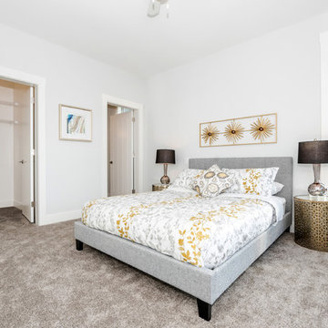 Show Home