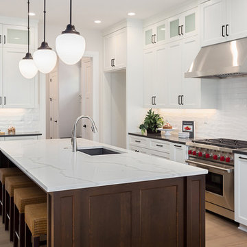 White Transitional Kitchen