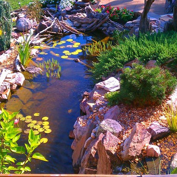 Ecosystem pond