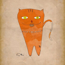 cat