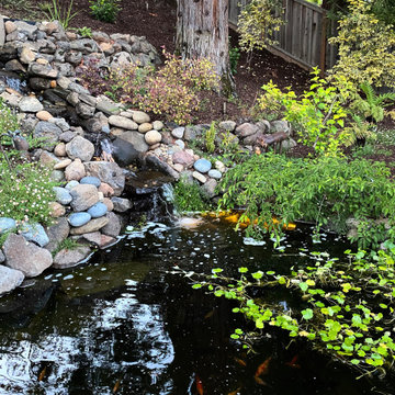 Moraga Happy Place Garden