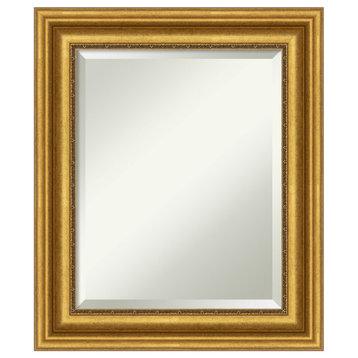 Parlor Gold Beveled Wall Mirror - 21.75 x 25.75 in.