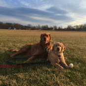 Erin Keil's photo