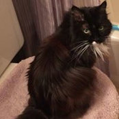 Crystal Graening's photo