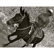Mary Jo Ewings foto