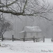 Rose Harshey's photo