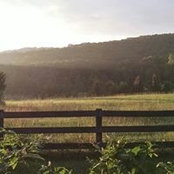 Anne Erwin's photo