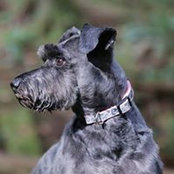 Joanne Kusnir's photo