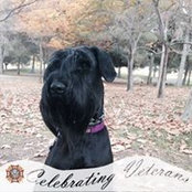 Jan Jenkins's photo