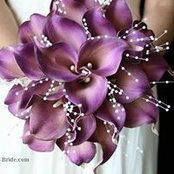 Janay Hisle's photo