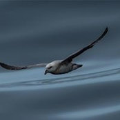 Bruce Rosenzweig's photo