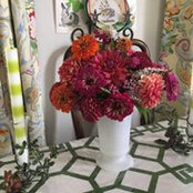 Foto von Donna Fitch