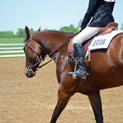 Shannon Furbeck's photo