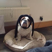 Moira Brennan's photo