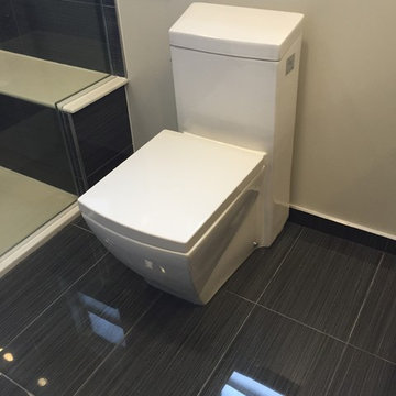 May 2015 - Streamwood Full bathroom Project