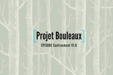 Projet Bouleaux