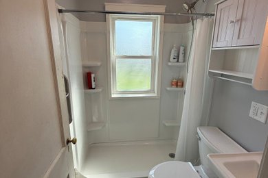 Inspiration for a bathroom remodel in DC Metro