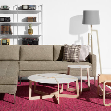 2015 Blu Dot Modern Spring Furniture Catalog