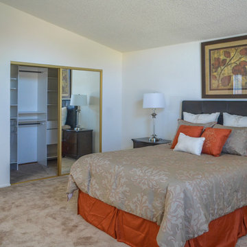 STAGING SEAHORSE DR PROJECT