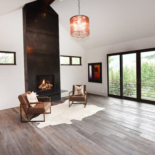 Großes Modernes Hauptschlafzimmer mit weißer Wandfarbe, hellem Holzboden, Kamin und Kaminumrandung aus Metall in Denver