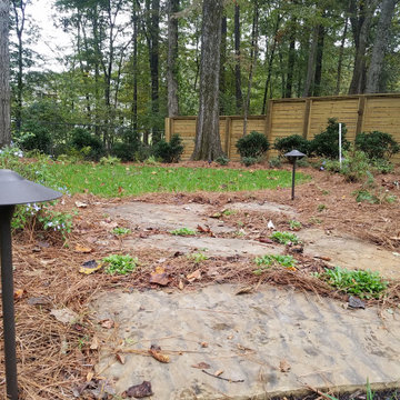 Landscape Perspectives 2018-2020