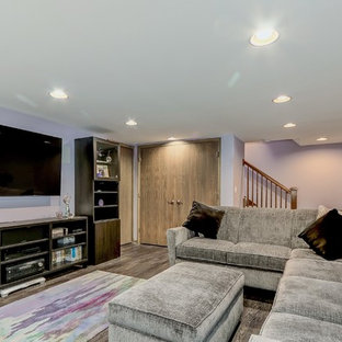 Small classic fully buried basement in Chicago with purple walls, vinyl flooring, no fireplace and brown floors.