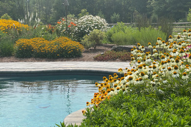 Inspiration for an eclectic pool remodel in Boston