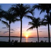 Lynn Marie Epstein's photo