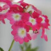 Cathy Nelson's photo