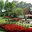 Beautiful Country Landscape LLC