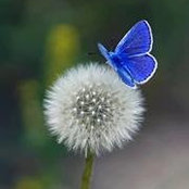 Marina Larimar's photo
