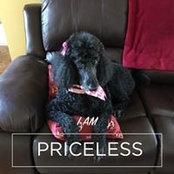 Laura Sprance's photo