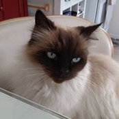 Tammie Bardowell's photo