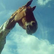 Foto de Bugsy Burrows
