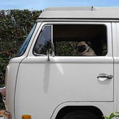 Tommy Pearson's photo