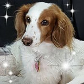 Barbara Dolloff's photo