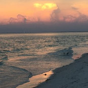 Lyn Puskas's photo