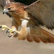 Walter Rono's photo